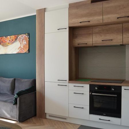 Apartment Sosnowiec City - Free Parking - Easy Check-In Экстерьер фото